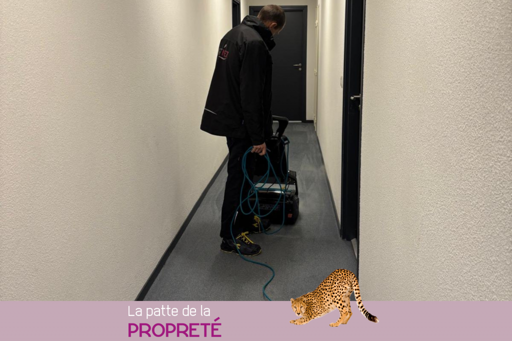 Nettoyage moquette et tapis par shampooing moquette